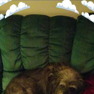 Meet your Posher, Gary